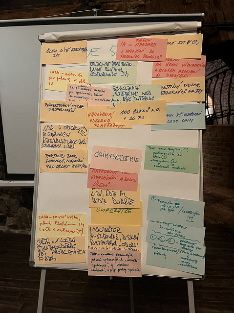 Koncepční workshop výboru CAIM